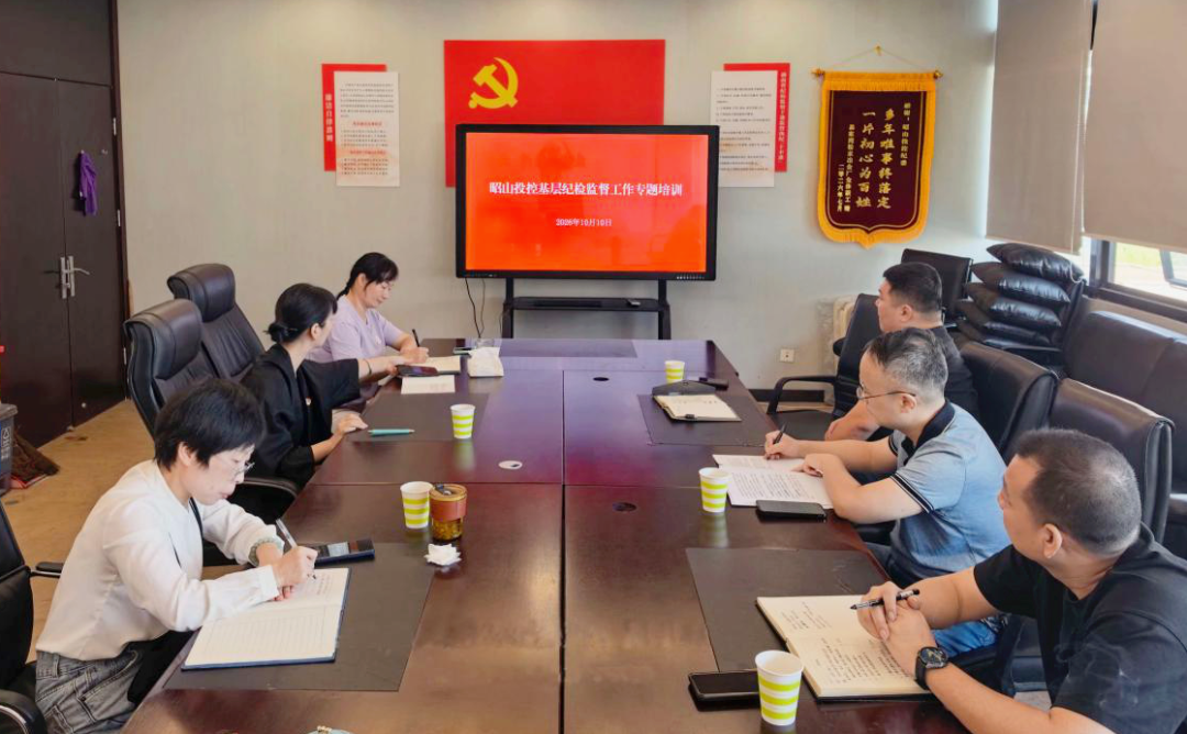 履职尽责提质效 昭山投控纪委开展基层纪检委员业务专题培训