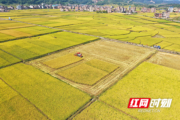 DJI_0789.jpg