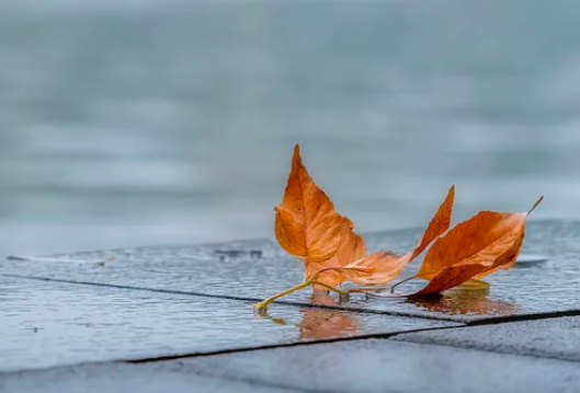 晴好余额仅剩两天！10月13日起有降雨降温