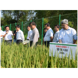 “袁稻思源”杂交水稻智能育种平台正式发布