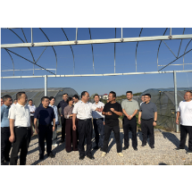 秋冬生产正当时 智慧农业显担当——娄底城乡投智慧农业产业园一期观摩侧记