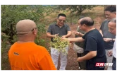 南华大学退休老党员发挥余热 助力衡阳县金槐产业
