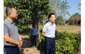 廖江华督导秸秆综合利用和禁烧管控工作