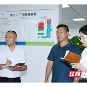 长沙市望城区：“清风”护企轻装上阵丨清风同行 为民造福