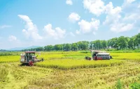 全国秋粮收获过半 多要素协同筑牢丰收根基