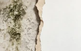 家门口的“新”解法⑨ | 从“渗水墙”到“连心墙” 这个社区把信任补上了