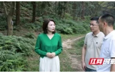 李佳谕督导岩溶洞穴污染排查整治工作
