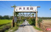 共享经济“种”进乡村——常宁三角塘镇大学生见闻手记