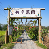 共享经济“种”进乡村——常宁三角塘镇大学生见闻手记