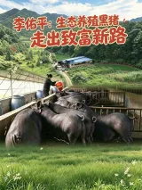 李佑平：养殖生态黑猪 蹚出致富新路