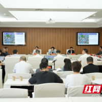 邵阳市国土空间规划委员会2026年第四次土地管理专题会议召开
