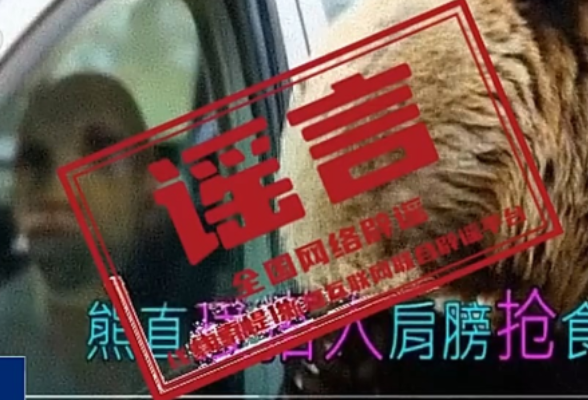 网传“新疆喀纳斯棕熊索食险酿大祸”是真的吗？