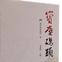 以“拙”“诚”之笔,打捞历史的“微光”——评《宝庆码头》