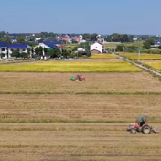 守住田间“烟火关”,攸县万顷田畴焕新颜