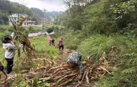 株洲渌口：举办秸秆机械打捆离田培训班 提升综合利用效率