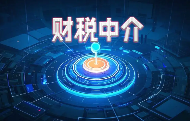 涉税中介不容异化为偷逃税的推手}