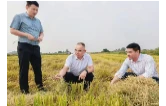 丁晓明深入乡镇调研秸秆综合利用工作
