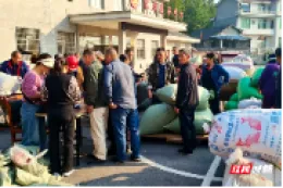 桃源：闲地生金，村民尝到“蒿”甜头