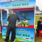 聚焦森保节|桑植供销公益市集亮相森保节 助农展销激活消费活力