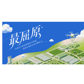 最“屈原”①丨粮食产业园里,一粒米被“全托”