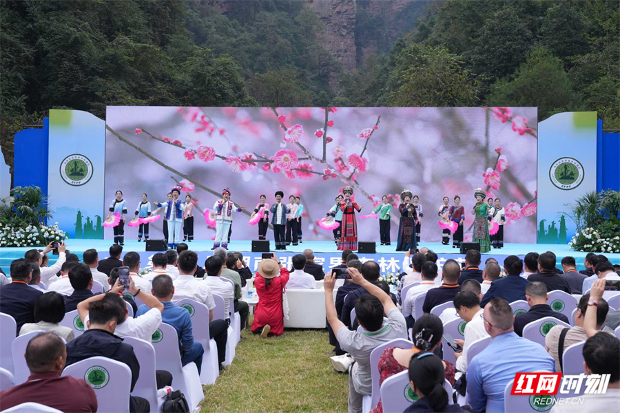 护航森保盛会 彰显生态担当｜九天峰恋景区全力保障第21届张家界森林保护节顺利启幕
