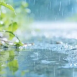 南方多地有较强降雨伴强对流 明起新一股冷空气将登场