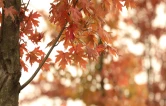 组图｜益阳秋信已至！解锁藏在身边的秋日美景