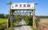 “镇”能量｜潭水河畔，“共享菜园”种出了春天