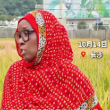 双语视频丨外国记者在湖南稻田的“沉思”时刻