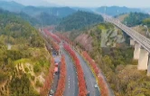 视频丨秋染赫山！鱼形山红枫大道迎来最佳观赏期