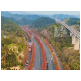 视频丨秋染赫山!鱼形山红枫大道迎来最佳观赏期