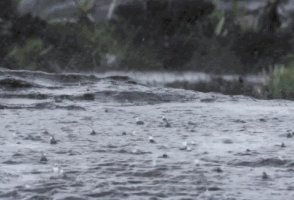 汛情提醒！14日晚至16日湘北有强降雨，局地大暴雨