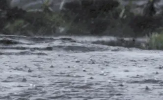 汛情提醒！14日晚至16日湘北有强降雨，局地大暴雨
