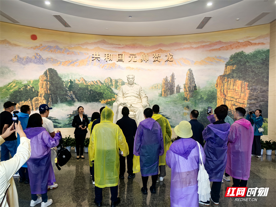 汇聚新阶层智慧 数字艺术赋能张家界文旅｜“新艺中国·数艺无界”服务考察团走进张家界