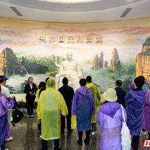 汇聚新阶层智慧 数字艺术赋能张家界文旅|“新艺中国·数艺无界”服务考察团走进张家界