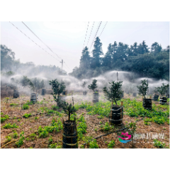 湘潭县“90后”刘楚南:扎根乡土育苗木