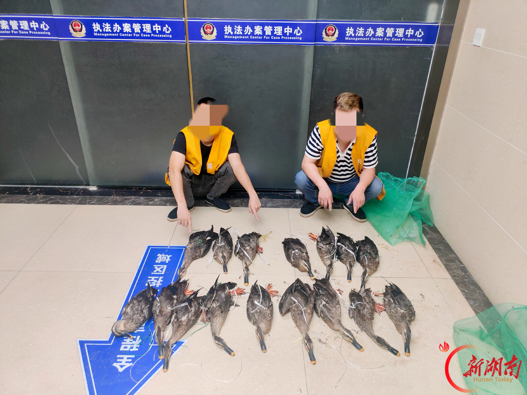 捕猎反被“捕” 大通湖公安侦破一起利用无人机非法狩猎案件