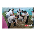 把课堂搬进田间 桂东中青班这样学