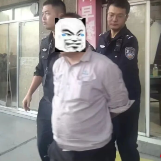 市民粗心停车招窃贼 民警快速破案挽损