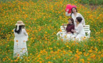 组图丨衡阳：秋日花海正艳 田园风光如画