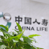 当“一人失能”不再是“全家失衡”：中国人寿长护险十年的温度与力量