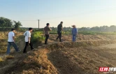 珠晖区茶山坳镇：“三位一体”筑牢秸秆禁烧“防火墙”