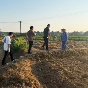 珠晖区茶山坳镇：“三位一体”筑牢秸秆禁烧“防火墙”