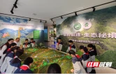 湖南新宁：行走的少先队“生态科普课堂”厚植绿色情怀