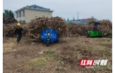 疏堵结合，看大通湖区河坝镇新秀村、老河口村如何推进秸秆禁烧和综合利用