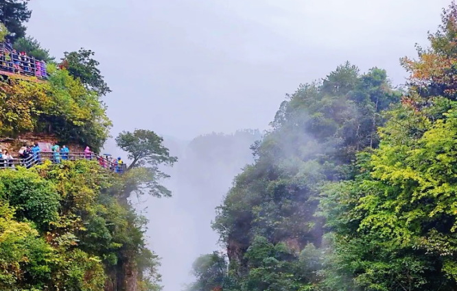 云上天子山，秋染张家界