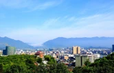 洞口：“幸福田”里稻浪涌