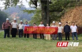 寻访百年古树 衡山县全面开展第三次古树名木资源普查