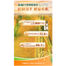海报｜粮安未来 娄底全年粮食总产量突破160万吨