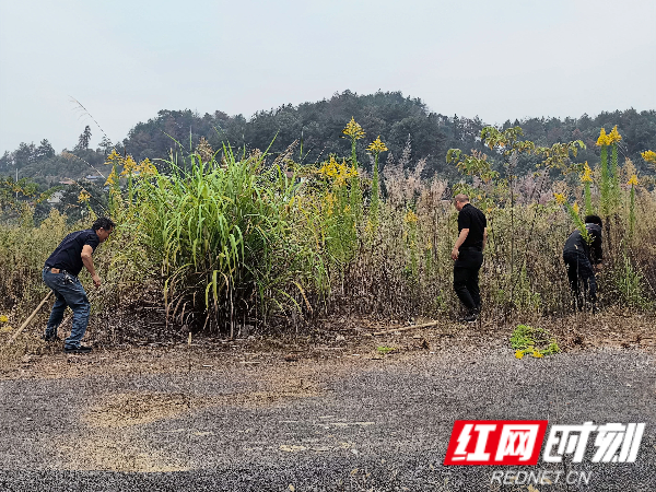 张家界市农业农村局:抢抓花期防控关键时节 筑牢生物安全防线